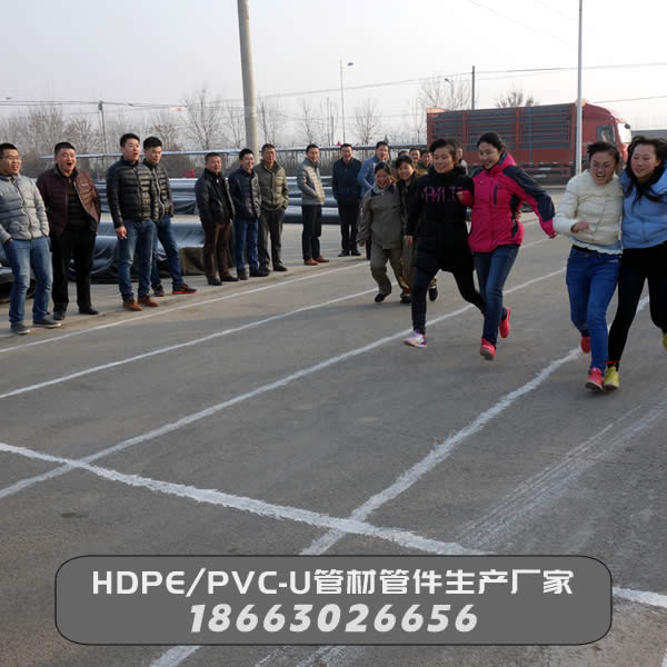 元旦雙人跑步競(jìng)賽活動(dòng)